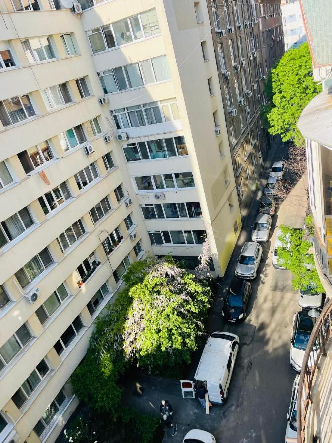 Cismigiu Park View Apartamento Bucareste Exterior foto